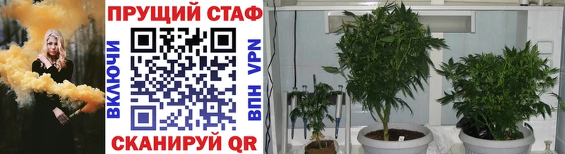 Где купить наркотики Дегтярск ЭКСТАЗИ МАРИХУАНА COCAIN KRAKEN зеркало Гашиш Меф