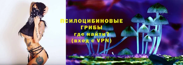 мяу мяу мука Горняк