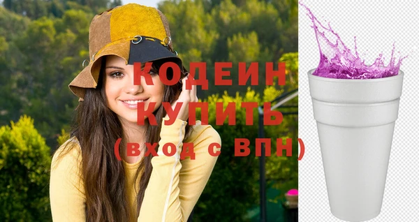 соль ск Верхний Тагил