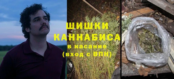 молекула духа Горнозаводск