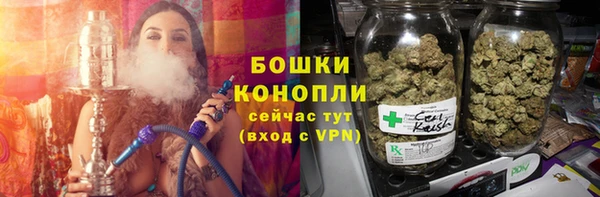 молекула духа Горнозаводск